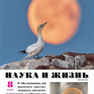 Наука и жизнь